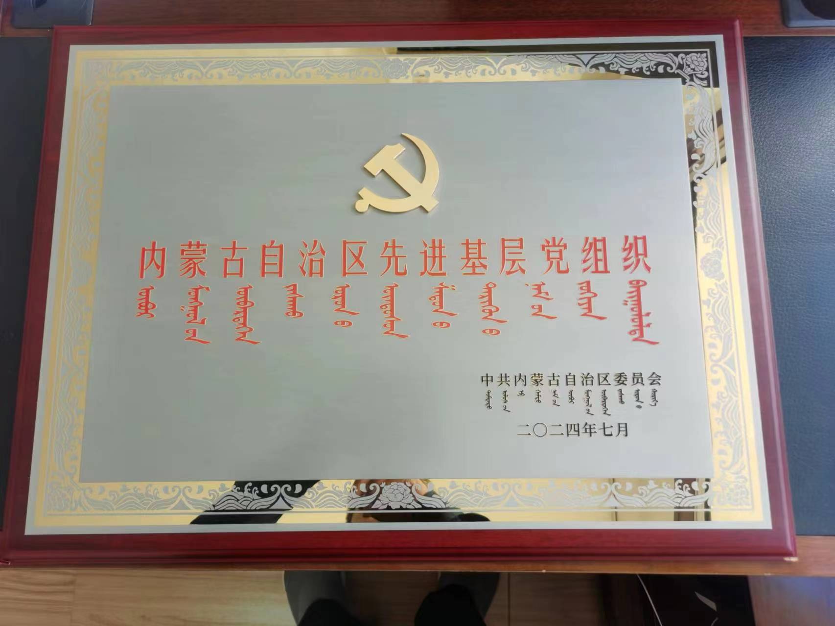 先进基层党组织.jpg 先进基层党组织.jpg